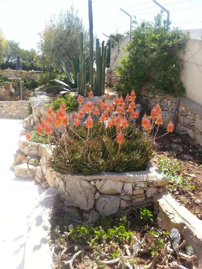 Villa Ca Del Mar Morciano di Leuca Exteriér fotografie