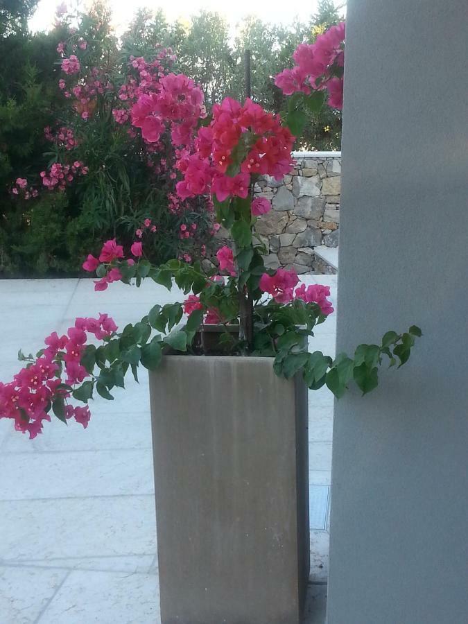 Villa Ca Del Mar Morciano di Leuca Exteriér fotografie